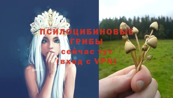 марки nbome Няндома
