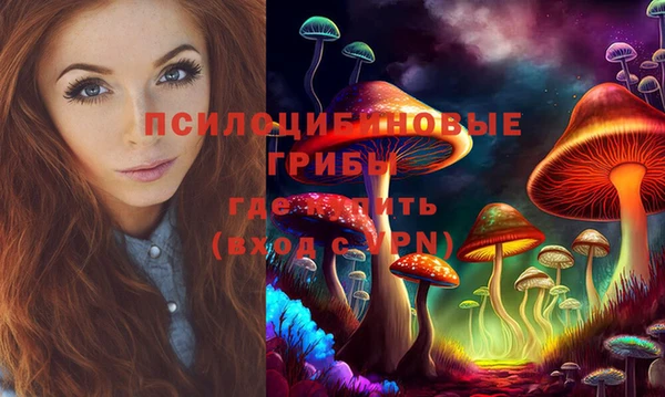 эйфоретик Алексеевка