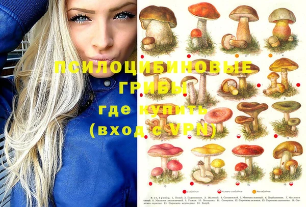 спиды Алзамай