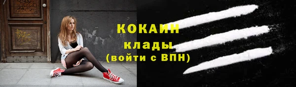 спиды Алзамай