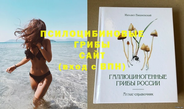 эйфоретик Алексеевка