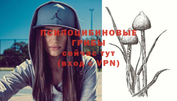 спиды Алзамай