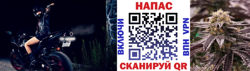 Шишки марихуана сатива  Ливны 